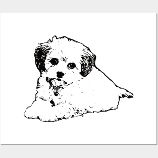 Maltipoo Face Design - A Moodle Christmas Gift Posters and Art